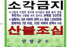 단양군 산불예방