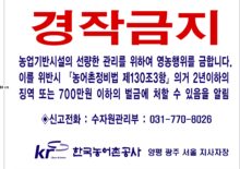 한국농어촌공사 양평,광주,서울지사 경작금지